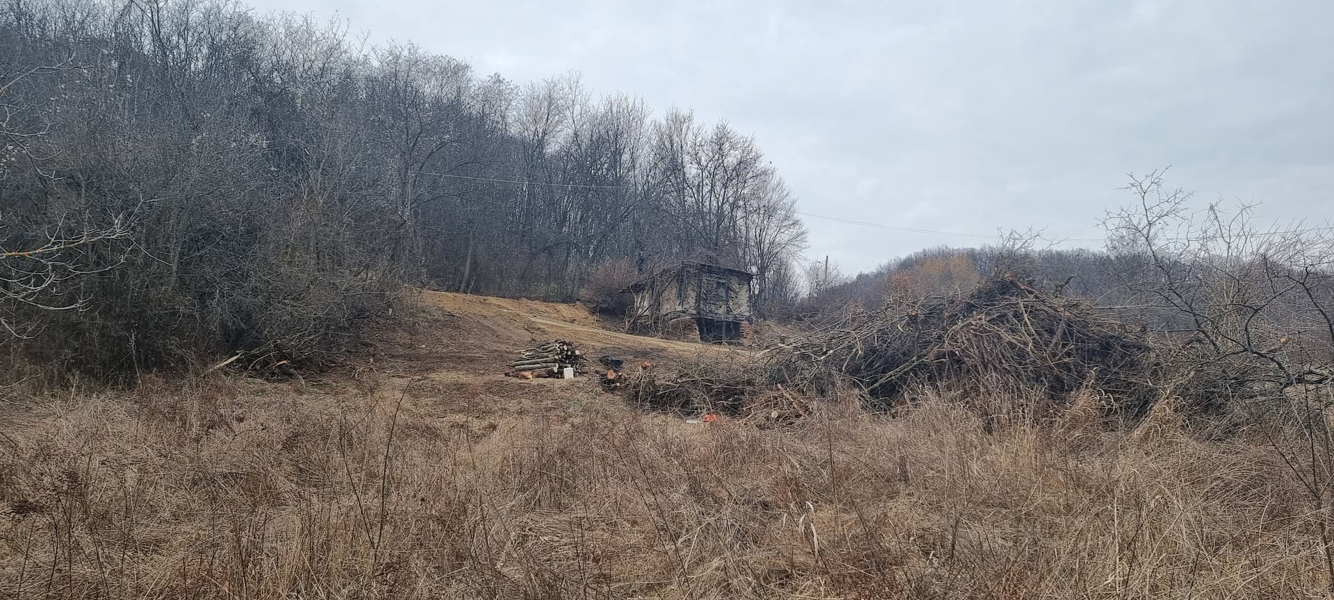 Tiny Alpha Means More Than Just a Cabin