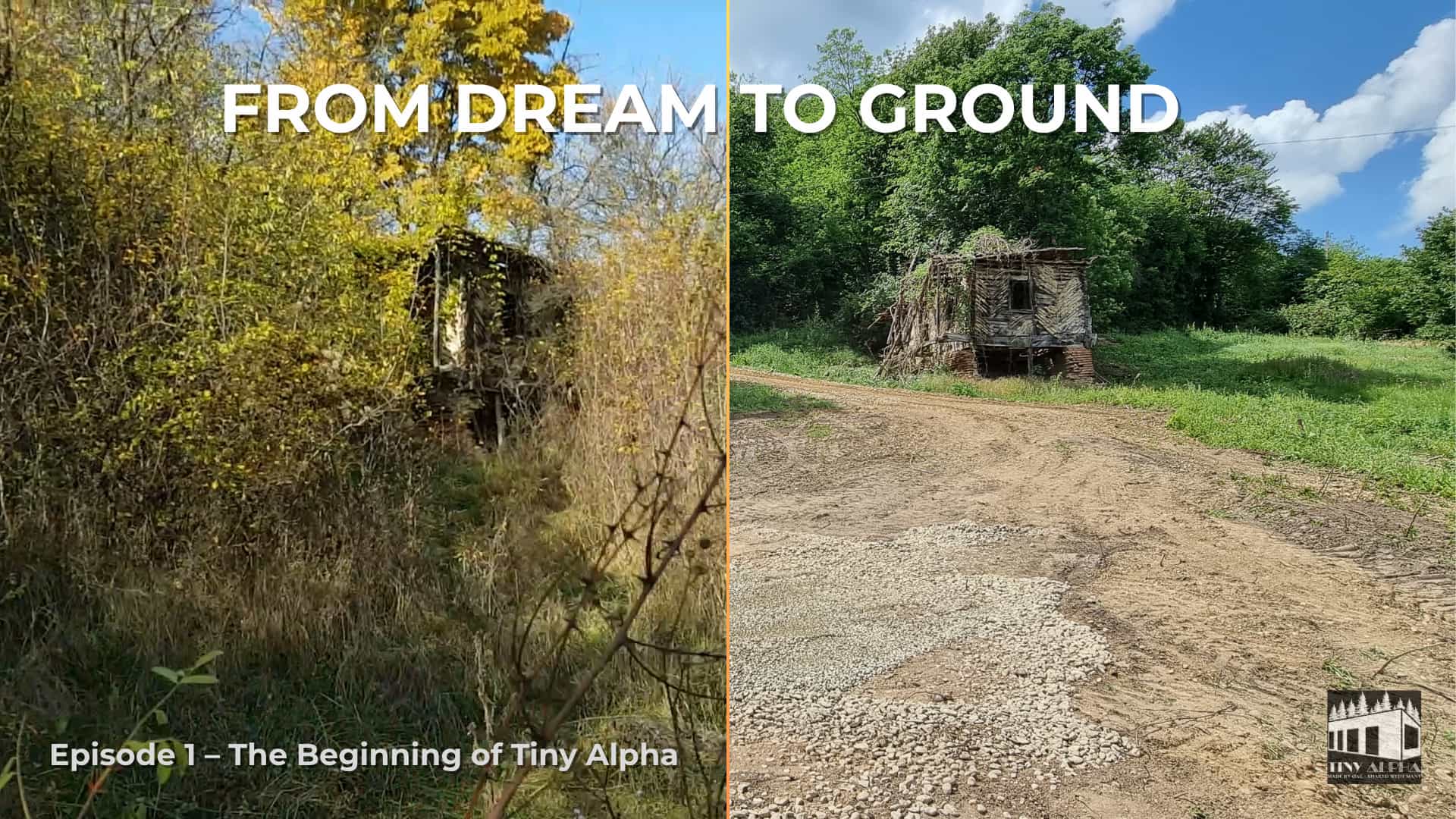 No team. No shortcuts.