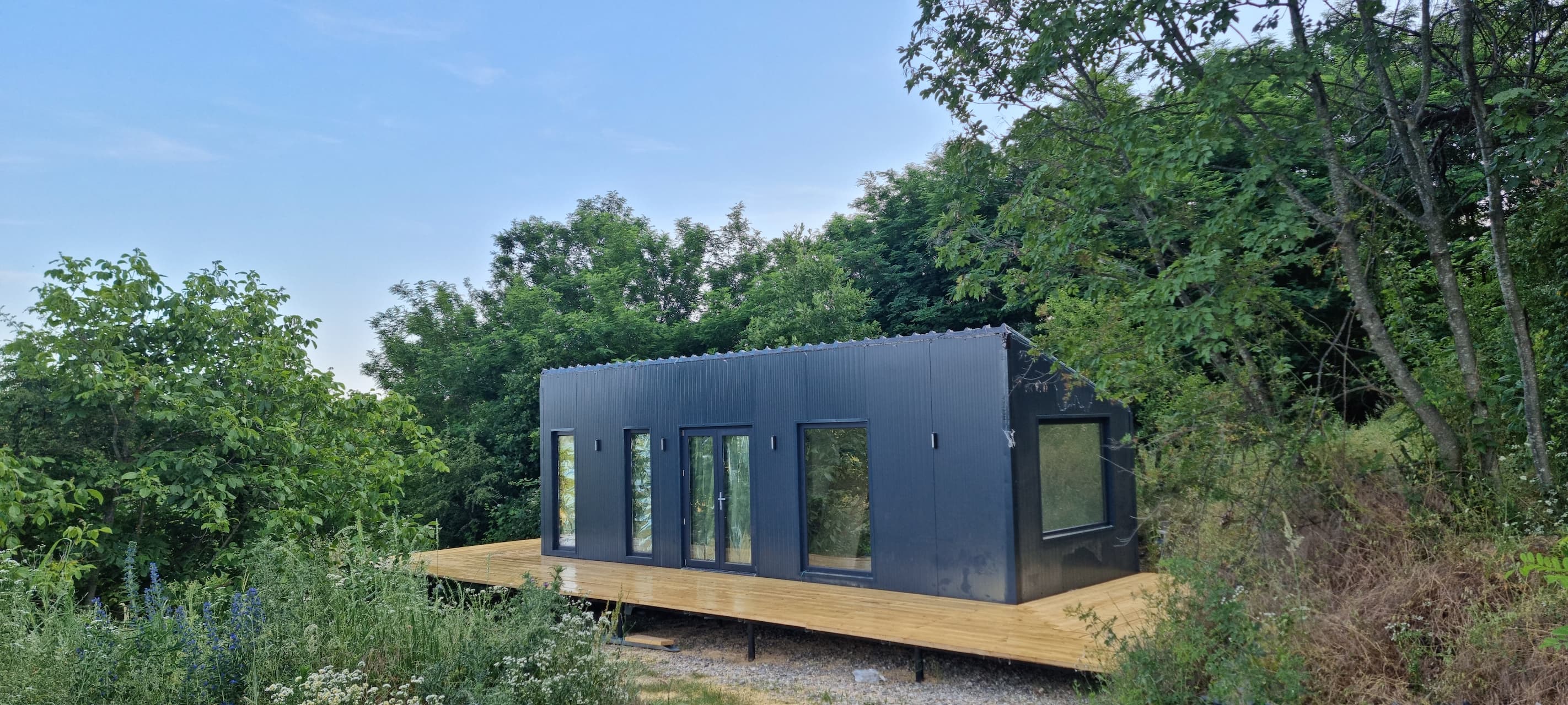 Why I Started Tiny Alpha