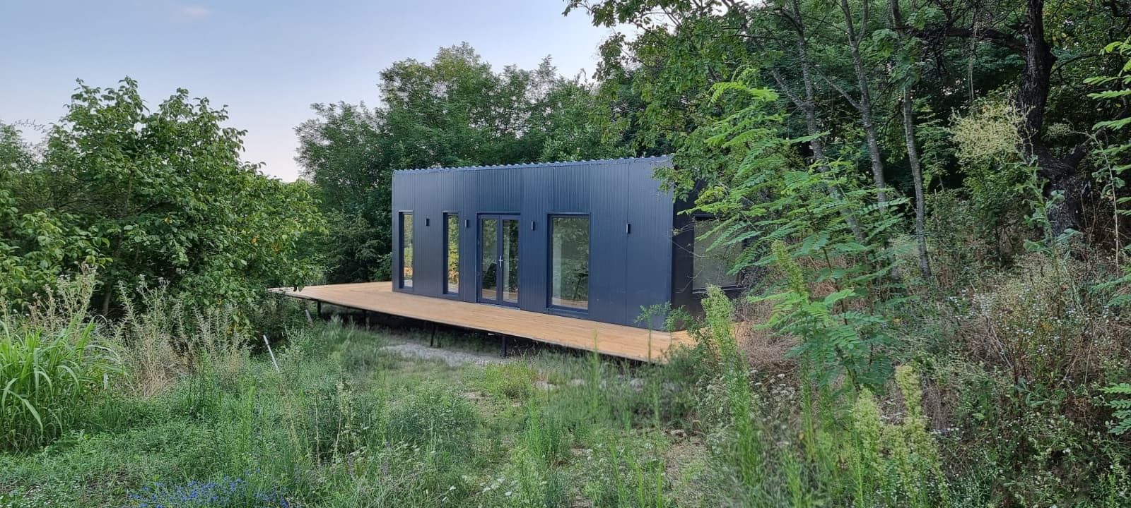 Tiny Alpha - Forest Calm