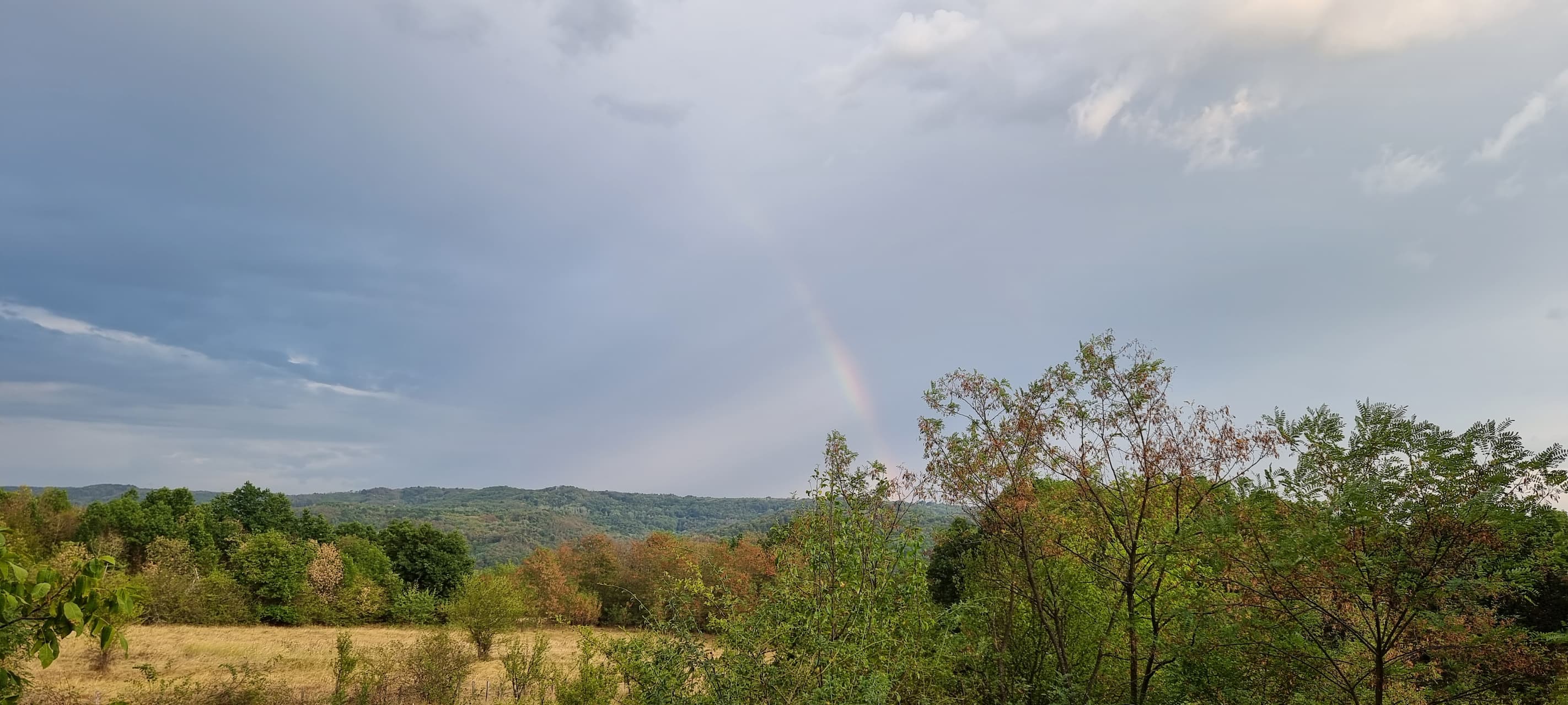 Tiny Alpha - Autumn Landscape